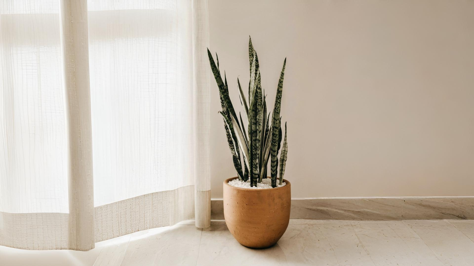 Exquisite Craftsmanship